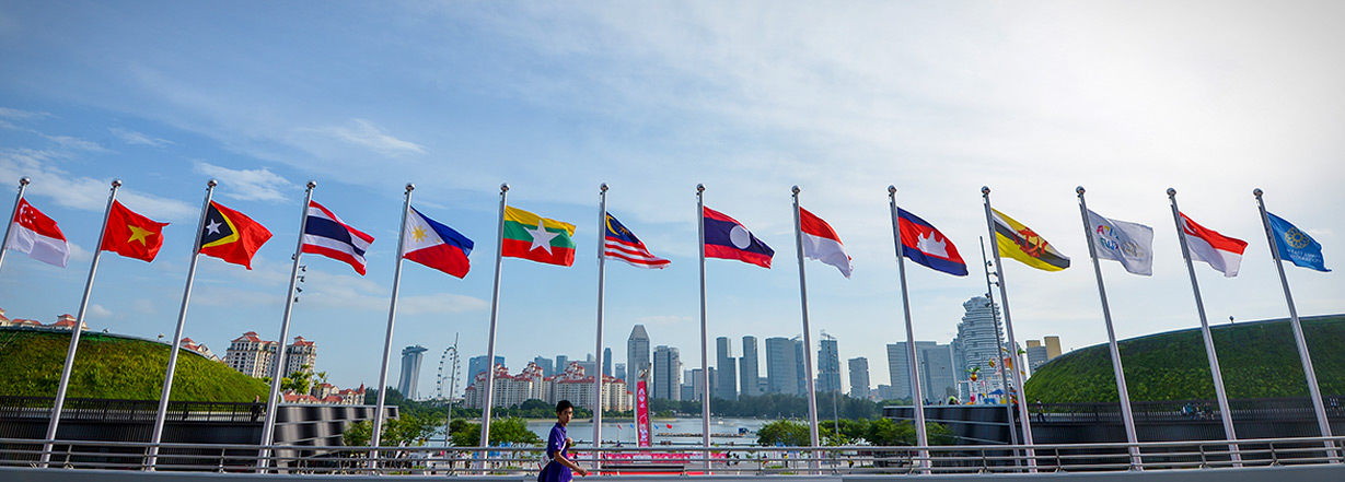 A group of flags in front of a city sight.